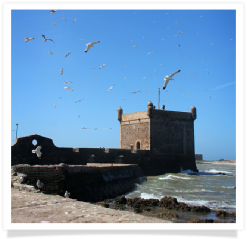 Travel with us ! Travel to Morocco with "Maroc Desert Tours" !Photography by Marco Prelousqui. Website Design by Gomarnad Maroc.