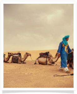 Merzouga desert is attractive for tourists for its unique sand dunes. Explore this area with us and have great adventure !