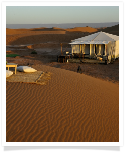 Travel with us ! Travel to Morocco with "Maroc Desert Tours" !