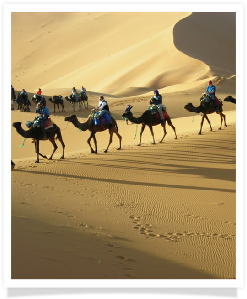 Travel with us ! Travel to Morocco with "Maroc Desert Tours" 