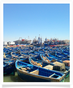 Travel with us ! Travel to Morocco with "Maroc Desert Tours" !Photography by Marco Prelousqui. Website Design by Gomarnad Maroc.