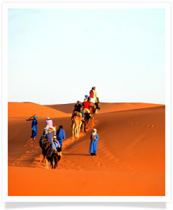 Travel with us ! Travel to Morocco with "Maroc Desert Tours" !