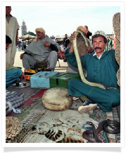 Travel with us ! Travel to Morocco with "Maroc Desert Tours" !Photography by Marco Prelousqui. Website Design by Gomarnad Maroc.