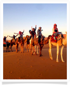 Travel with us ! Travel to Morocco with "Maroc Desert Tours" !