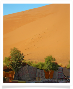 Travel with us ! Travel to Morocco with "Maroc Desert Tours" !