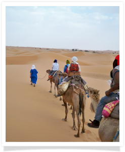 Travel with us ! Travel to Morocco with "Maroc Desert Tours" !