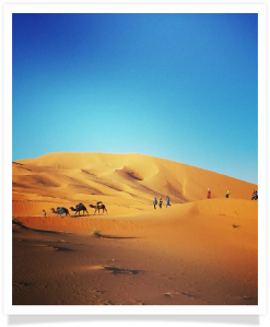 Travel with us ! Travel to Morocco with "Maroc Desert Tours" !