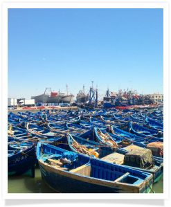 Travel with us ! Travel to Morocco with "Maroc Desert Tours" !Photography by Marco Prelousqui. Website Design by Gomarnad Maroc.