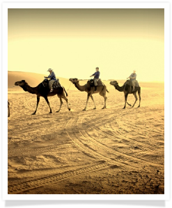 Travel with us ! Travel to Morocco with "Maroc Desert Tours" !