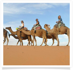 Travel with us ! Travel to Morocco with "Maroc Desert Tours" !Photography by Marco Prelousqui. Website Design by Gomarnad Maroc.