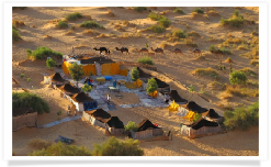 Travel with us ! Travel to Morocco with "Maroc Desert Tours" !Photography by Marco Prelousqui. Website Design by Gomarnad Maroc.