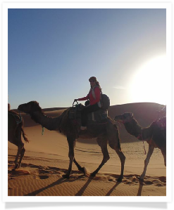 Travel with us ! Travel to Morocco with "Maroc Desert Tours" !