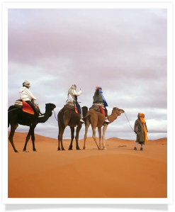 Travel with us ! Travel to Morocco with "Maroc Desert Tours" !