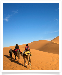 Travel with us ! Travel to Morocco with "Maroc Desert Tours" !