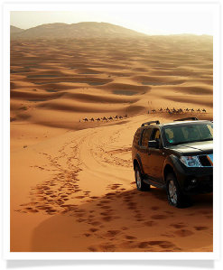 Travel with us ! Travel to Morocco with "Maroc Desert Tours" !