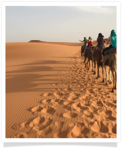 Travel with us ! Travel to Morocco with "Maroc Desert Tours" !