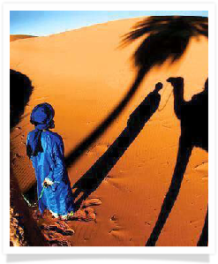 Travel with us ! Travel to Morocco with "Maroc Desert Tours" !