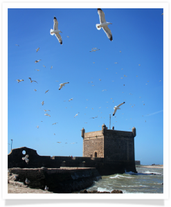 Travel with us ! Travel to Morocco with "Maroc Desert Tours" !Photography by Marco Prelousqui. Website Design by Gomarnad Maroc.