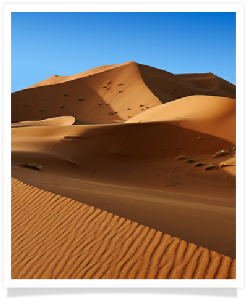 Travel with us ! Travel to Morocco with "Maroc Desert Tours" !