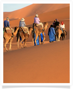 Merzouga desert is attractive for tourists for its unique sand dunes. Explore this area with us and have great adventure !