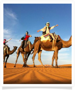 Travel with us ! Travel to Morocco with "Maroc Desert Tours" !