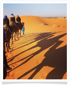 Travel with us ! Travel to Morocco with "Maroc Desert Tours" !