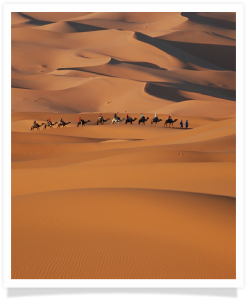 Travel with us ! Travel to Morocco with "Maroc Desert Tours" !