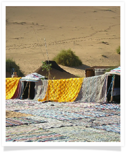 Travel with us ! Travel to Morocco with "Maroc Desert Tours" !