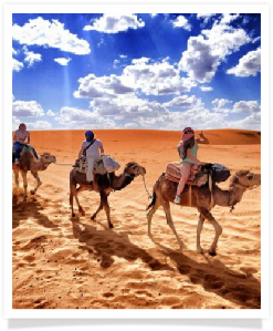 Travel with us ! Travel to Morocco with "Maroc Desert Tours" !Photography by Marco Prelousqui. Website Design by Gomarnad Maroc.