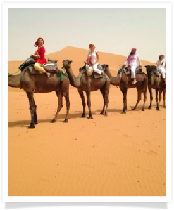 Travel with us ! Travel to Morocco with "Maroc Desert Tours" !