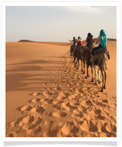 Travel with us ! Travel to Morocco with "Maroc Desert Tours" !Photography by Marco Prelousqui. Website Design by Gomarnad Maroc.