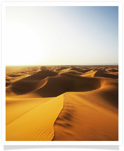 Travel with us ! Travel to Morocco with "Maroc Desert Tours" !