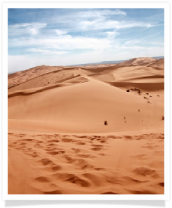 Merzouga desert is attractive for tourists for its unique sand dunes. Explore this area with us and have great adventure !